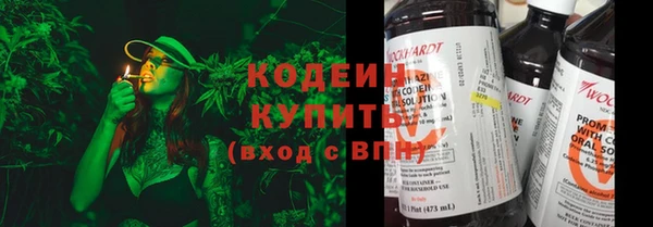 гашик Аркадак