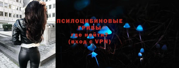 молекула духа Алексеевка