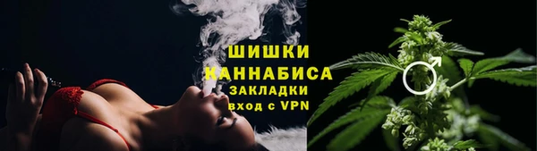 индика Арсеньев