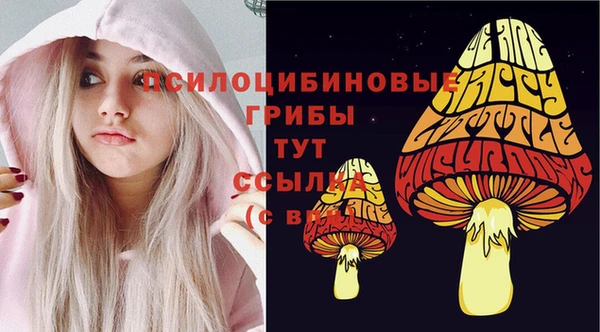 ешки Алексин