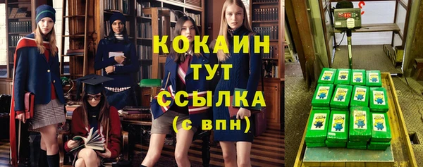 молекула духа Алексеевка