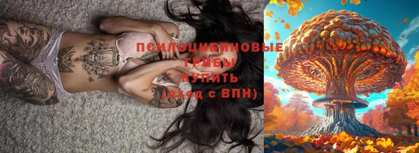 индика Арсеньев