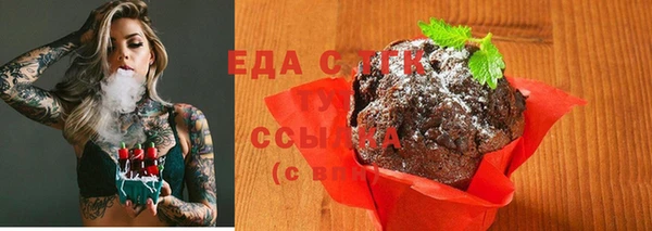 индика Арсеньев
