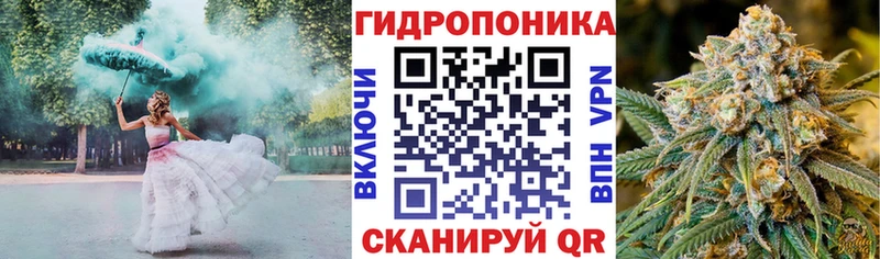 shop наркотические препараты  Александров  Каннабис SATIVA & INDICA 